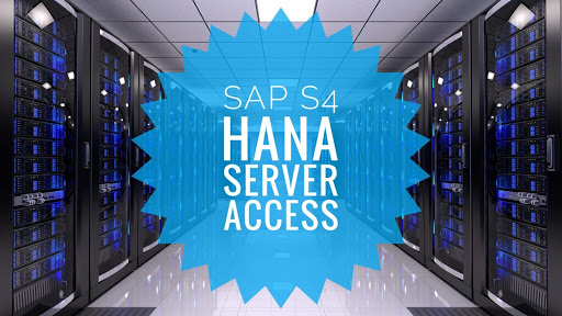SAP HANA Certified Server